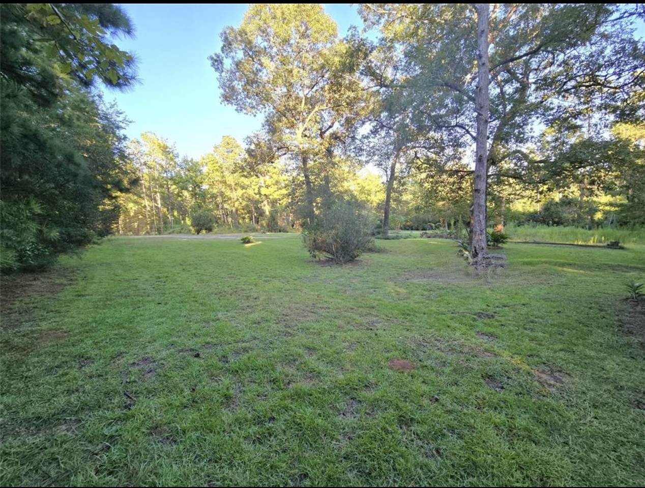 654 The Ole Don Road - Photo 1