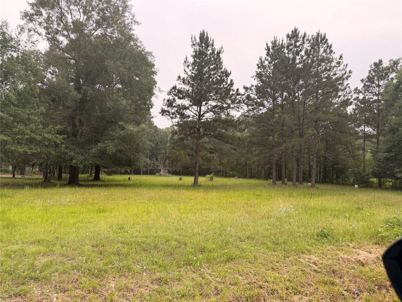 0 Forest Trl - Photo 1