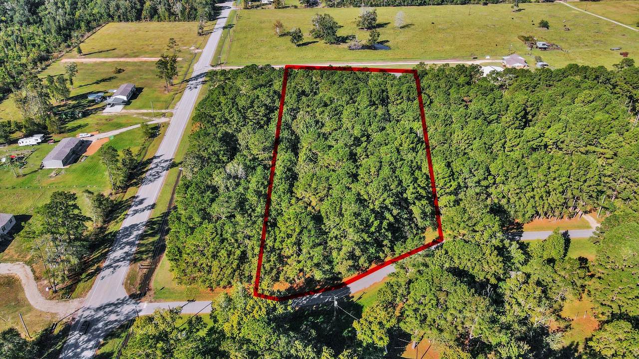 61 County Road 2316 - Photo 1