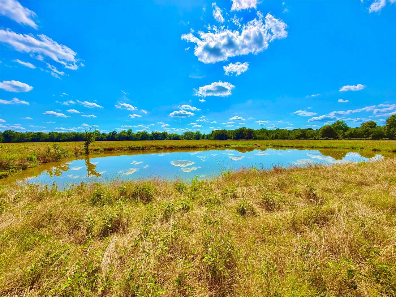TBD Cooper Settlement Road - Photo 1