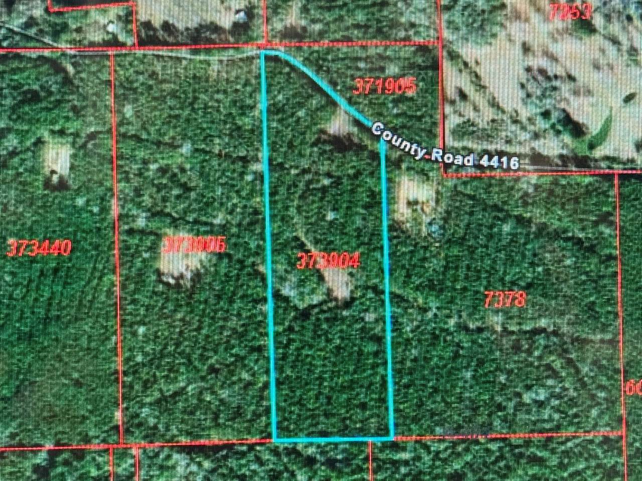 795 County Road 4416 - Photo 1