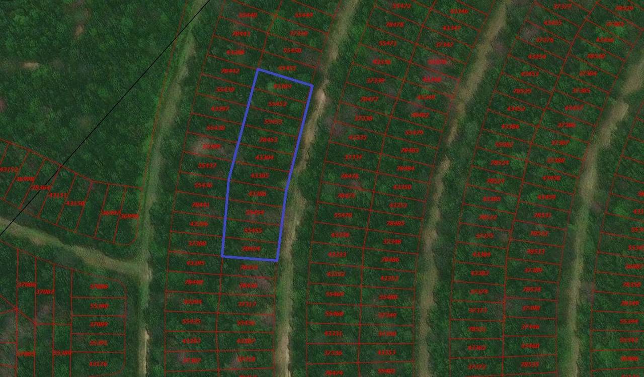 TBD Wood Forest - Photo 1