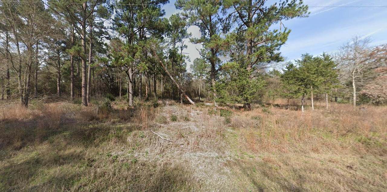 2699 County Road 144 - Photo 1