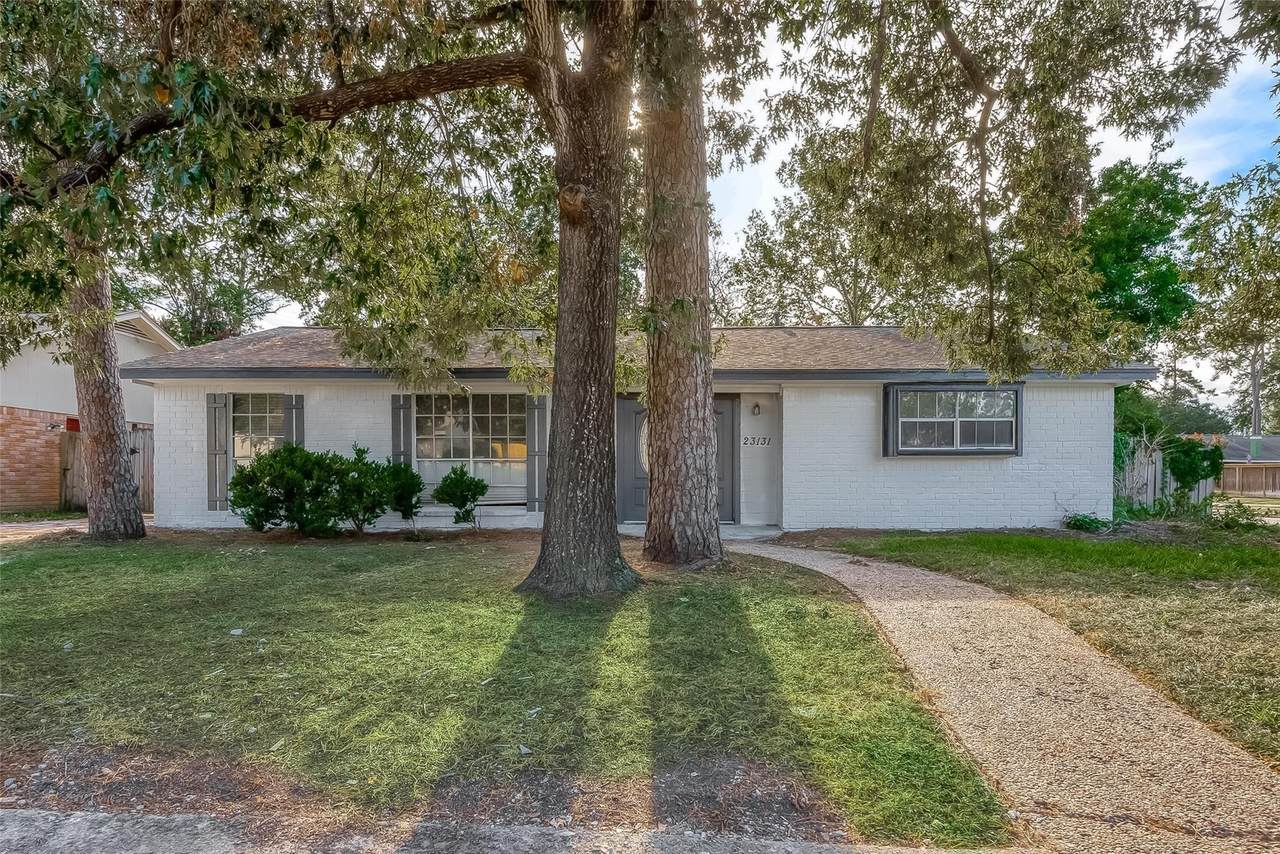 23131 Earlmist Drive - Photo 1