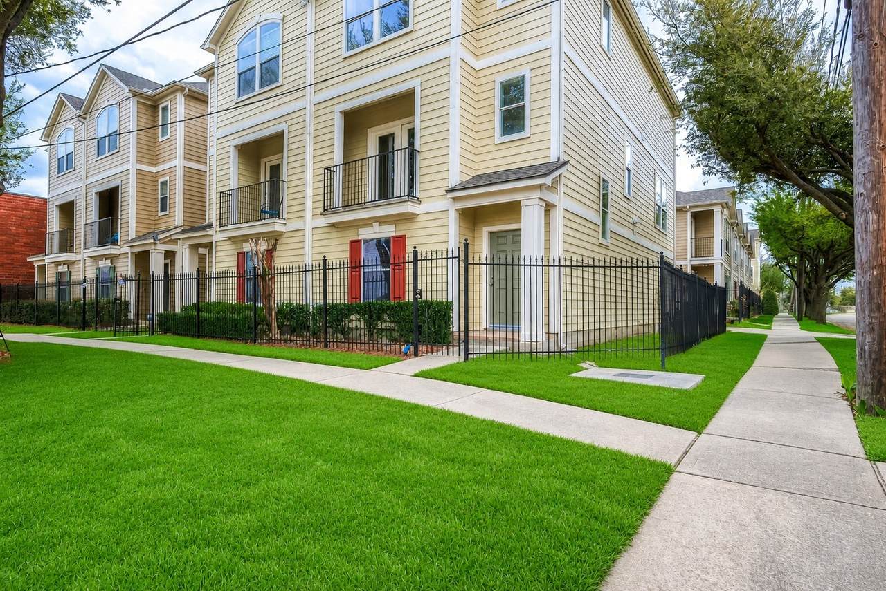 1119 Palmer Street - Photo 1