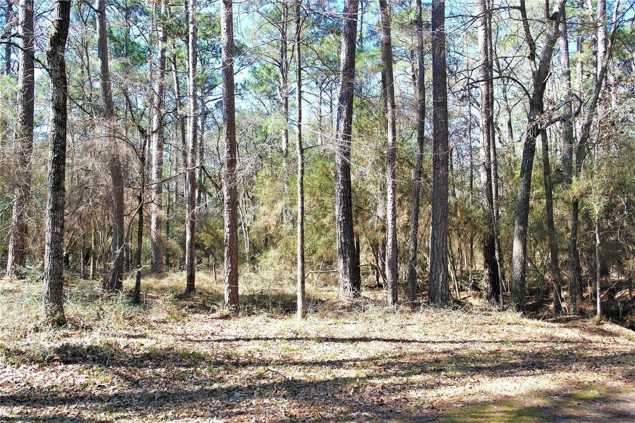 3 Magnolia Court - Photo 1