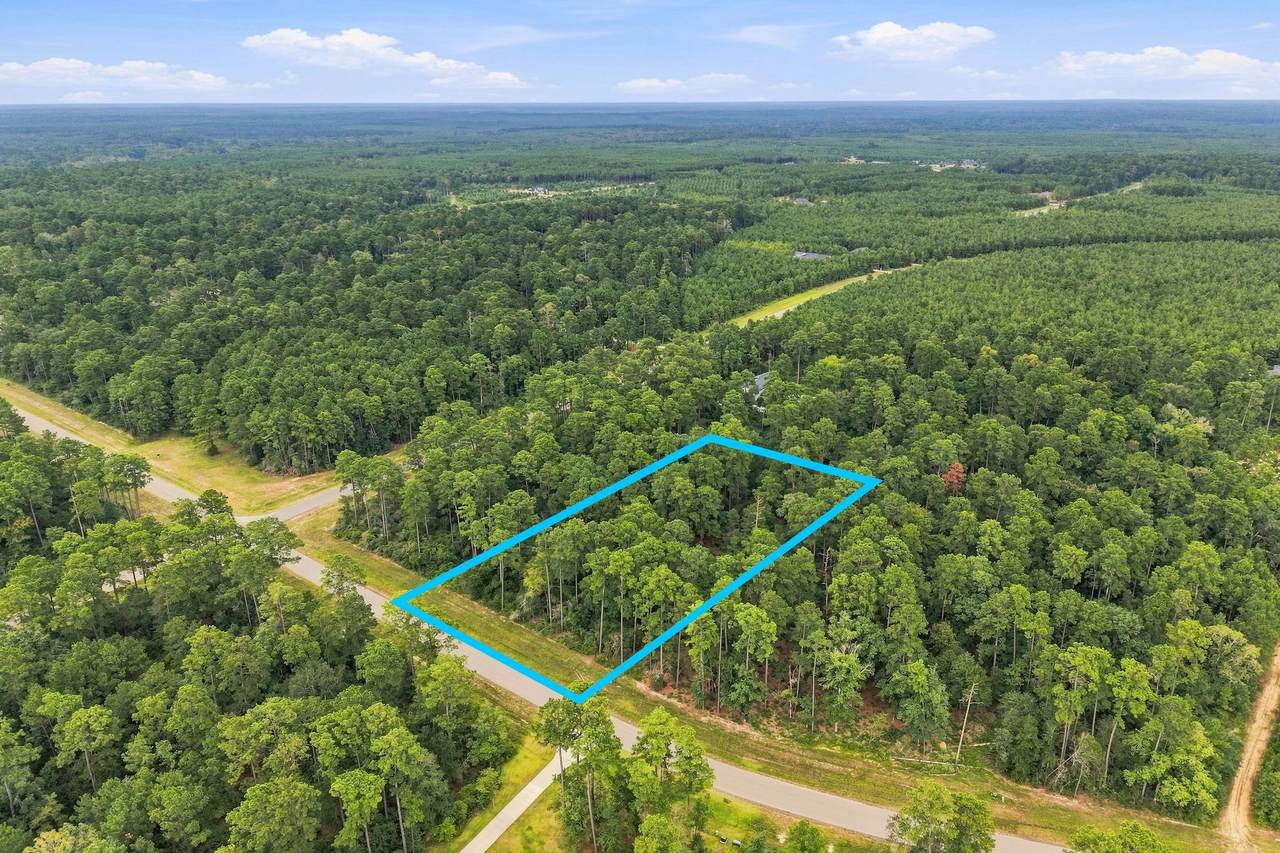 15890 Four Hills Road - Photo 1