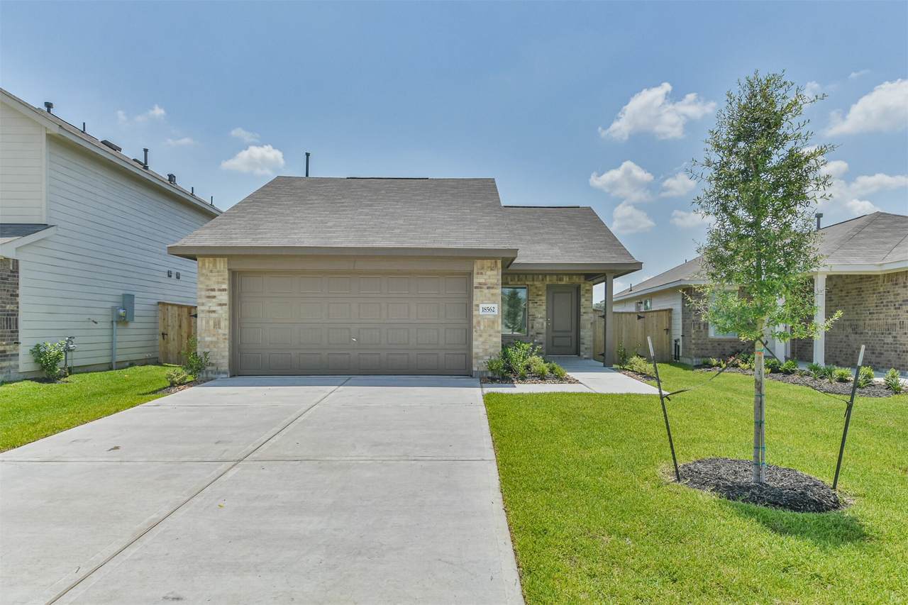 18562 Cepagatti Drive - Photo 1