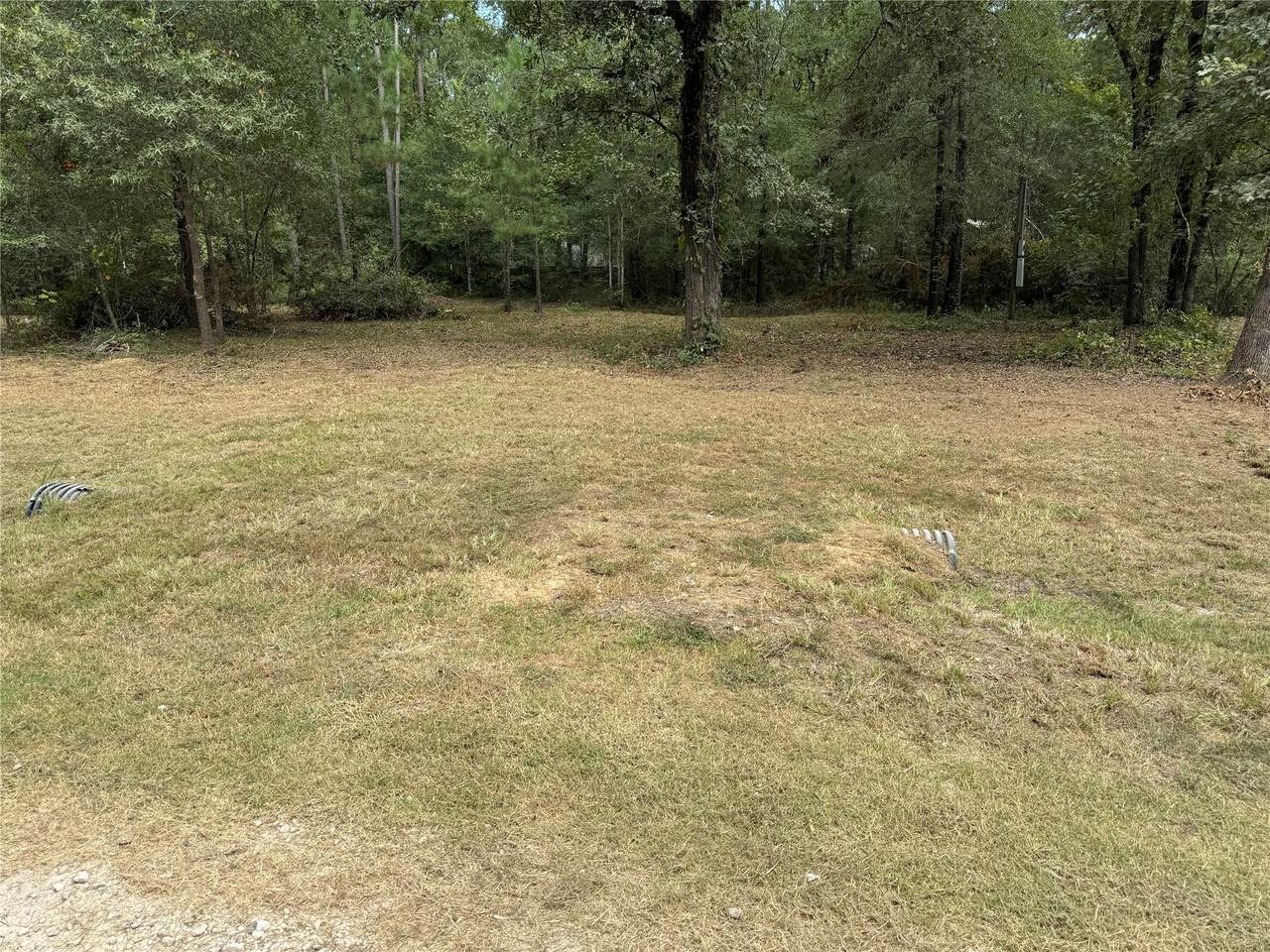 109 Parkpine - Photo 1