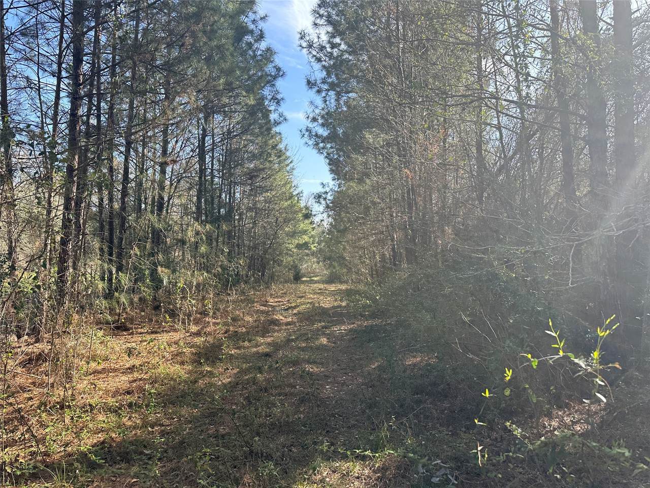 TBD Road 3813 - Photo 1