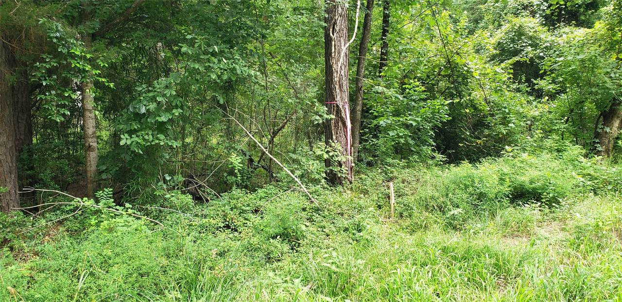 80 Morris Creek Road - Photo 1