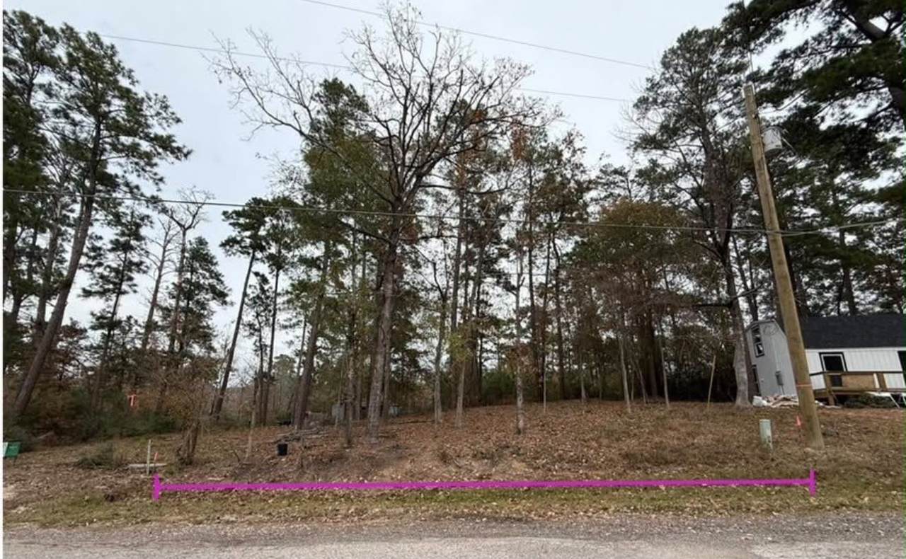 0 Impala Woods Drive - Photo 1