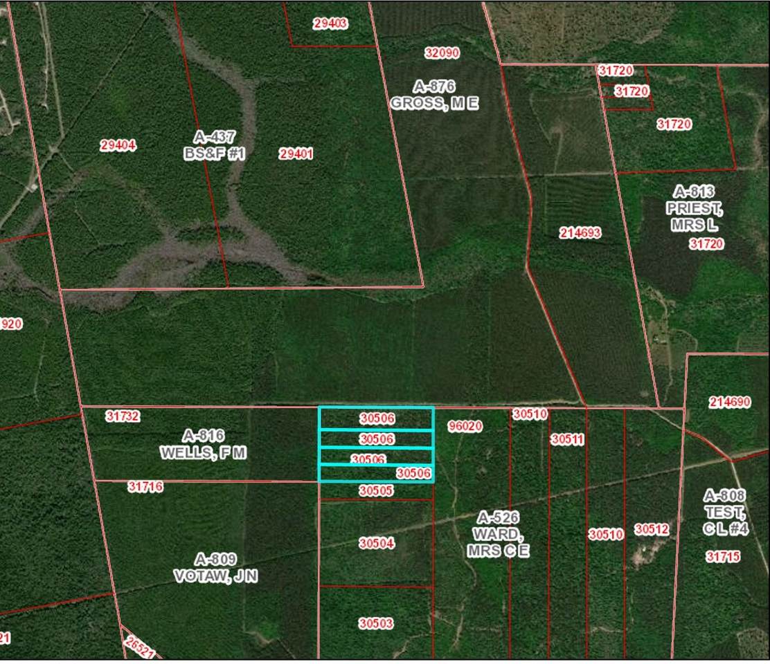 TBD Farm To Market 770 East Of Tx - Photo 1