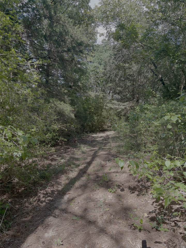 0 County Road 1208 - Photo 1