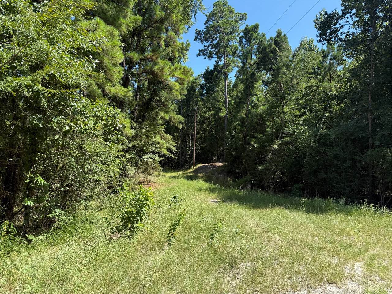 TBD Creeklake Drive - Photo 1