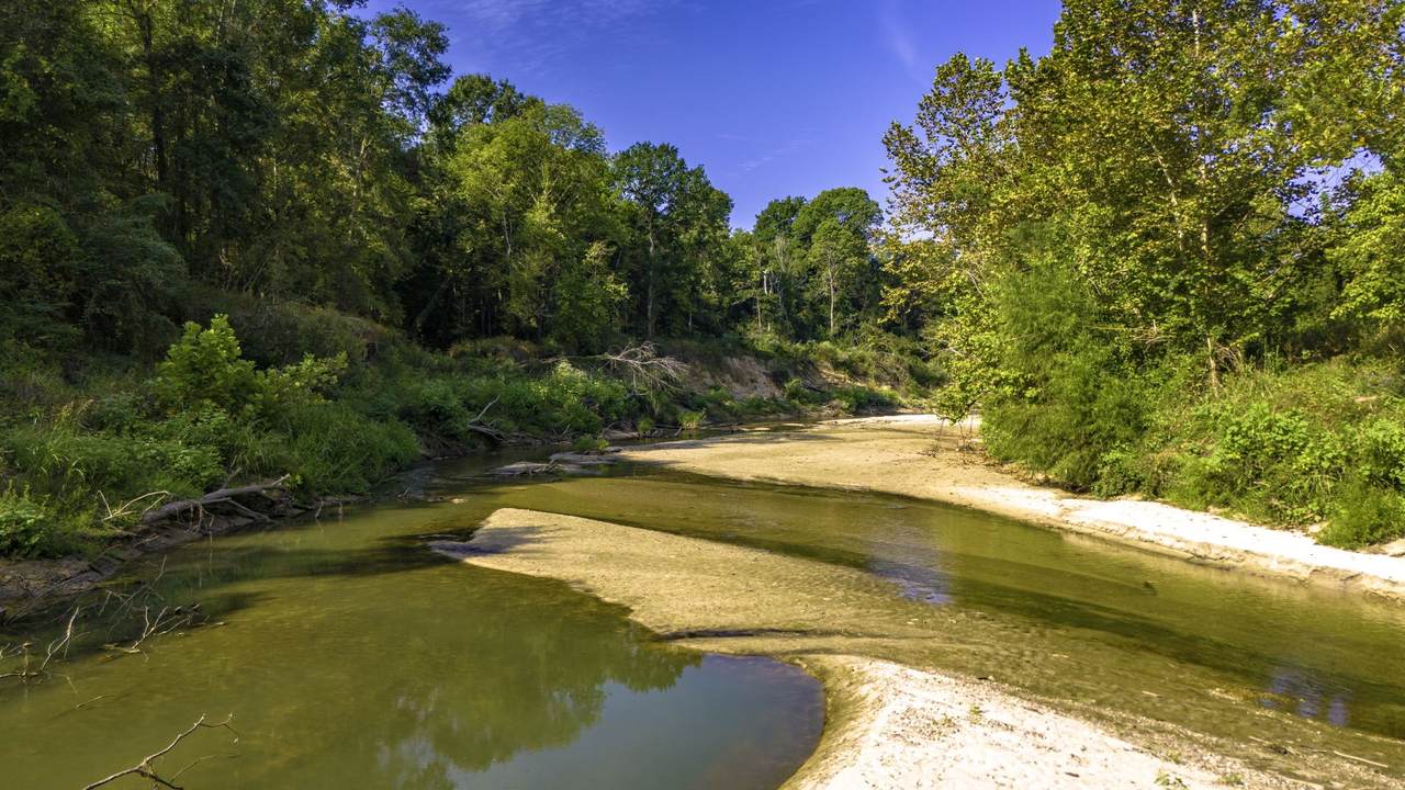 TBD Garner Road - Photo 1