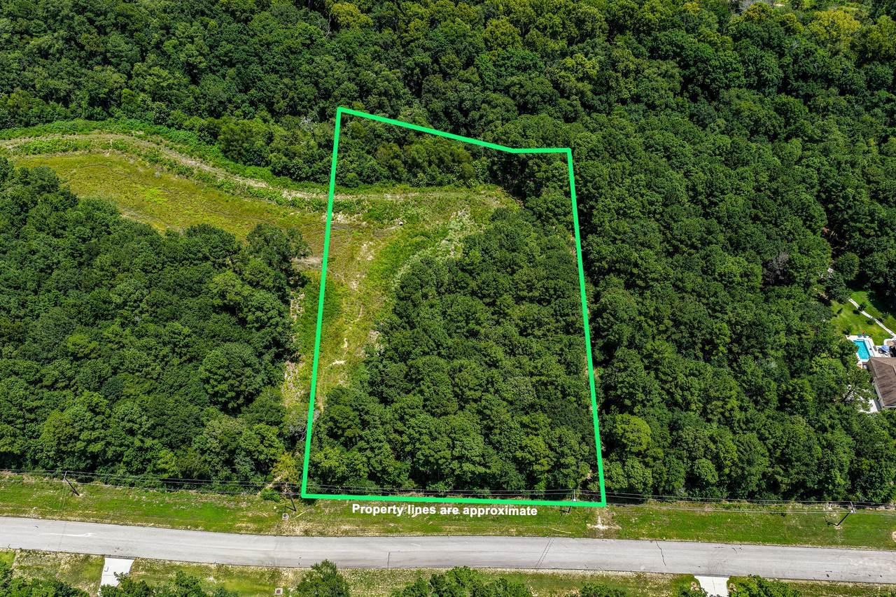 3 Acres Sky Oak Lane - Photo 1