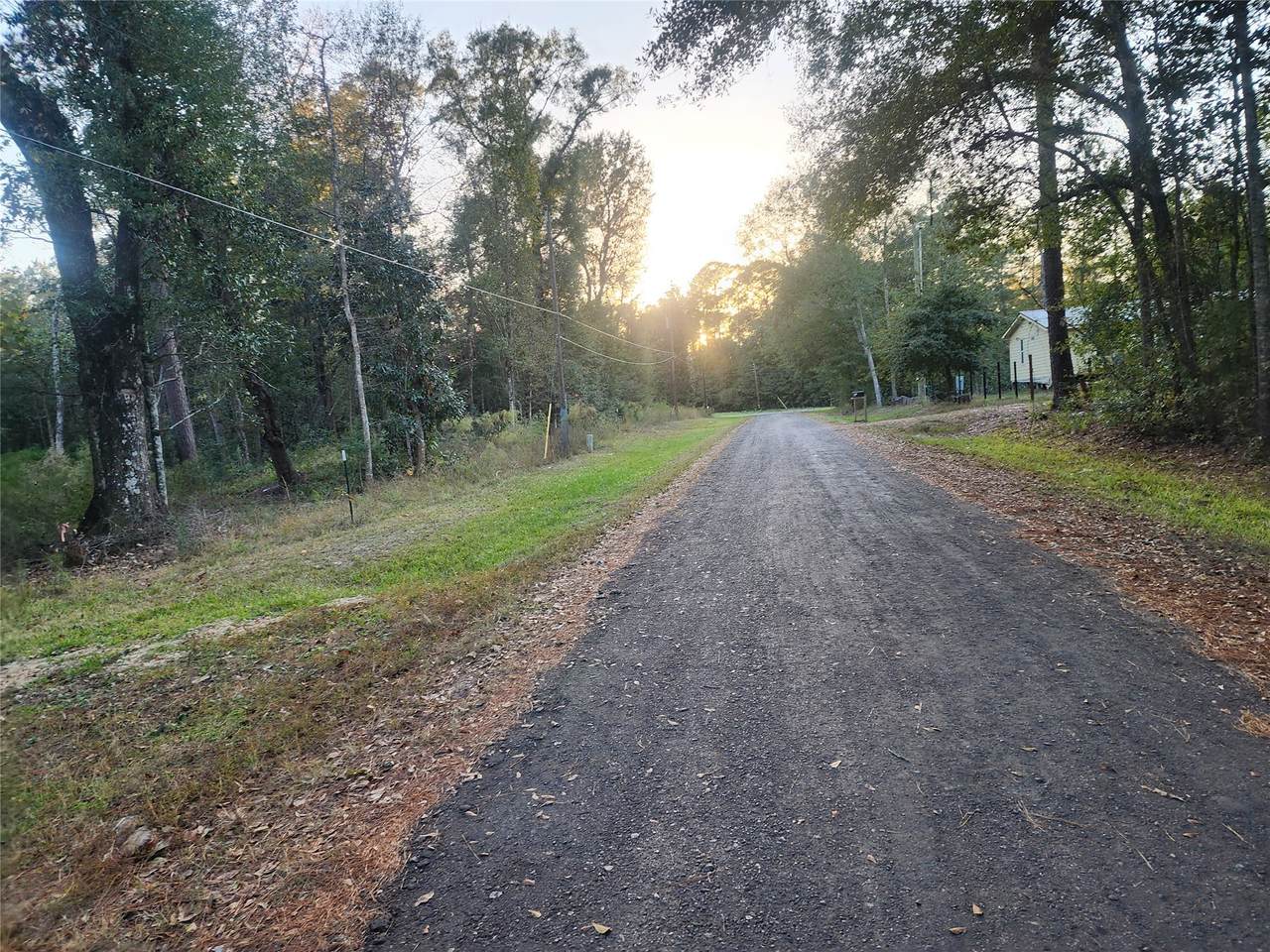 0 Dottie Ln Lane - Photo 1
