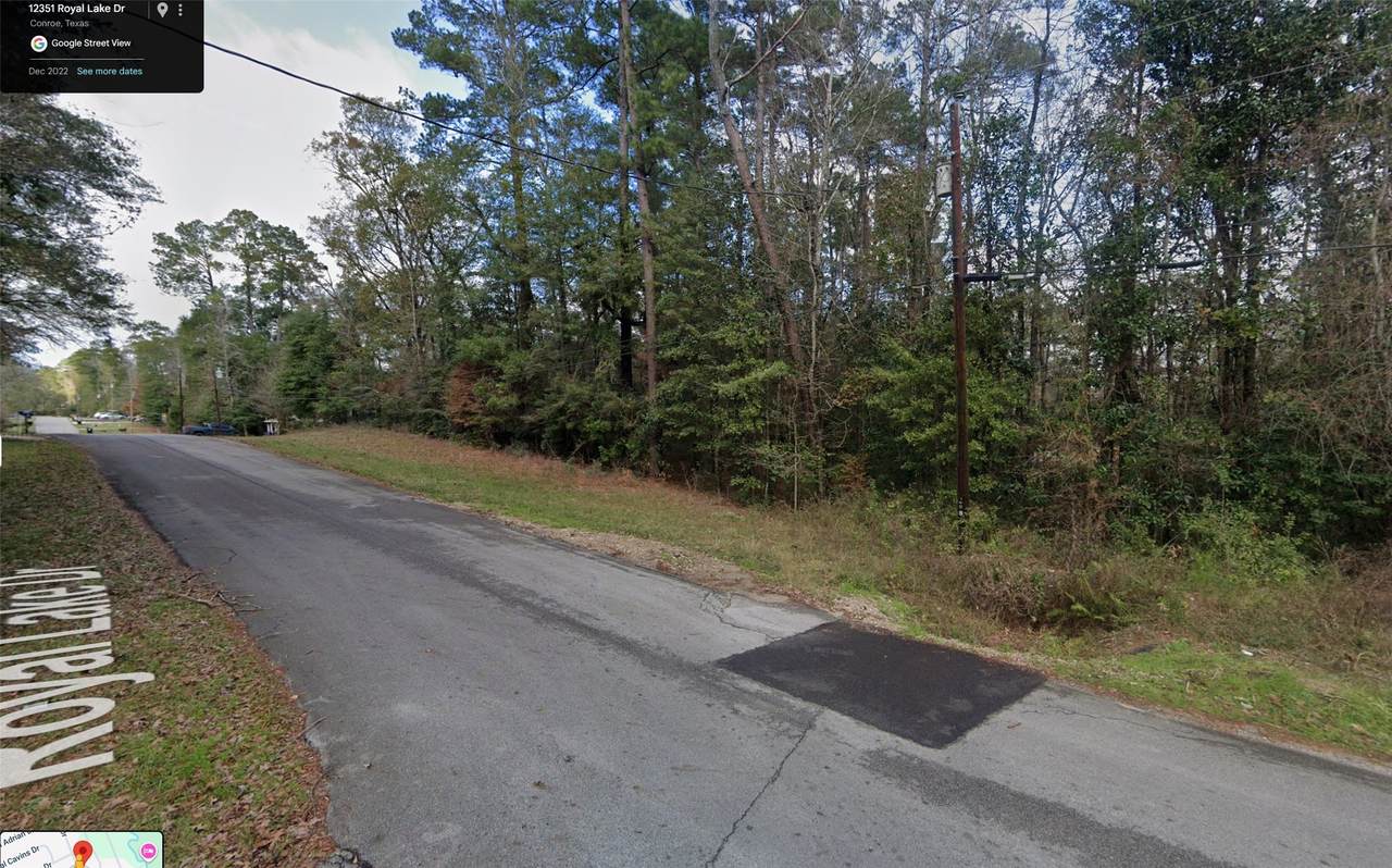 0 Royal Lake Drive - Photo 1