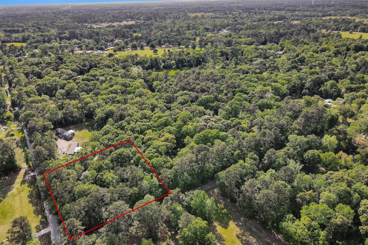 15711 Tree Monkey Rd - Photo 1