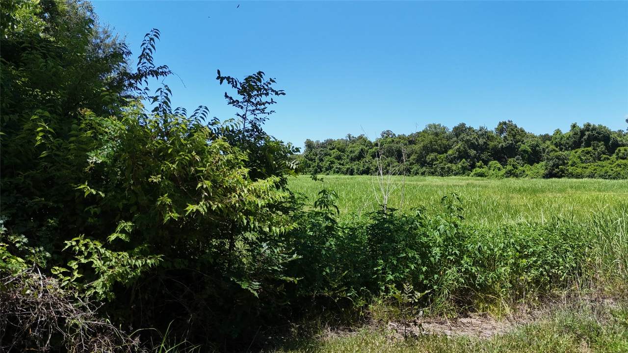 TBD County Road 42 - Photo 1