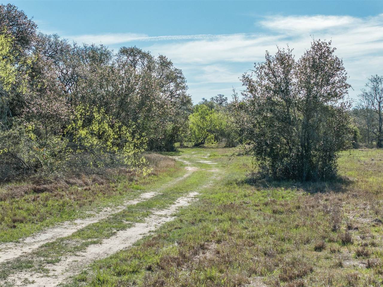 1746 County Road 103 - Photo 1