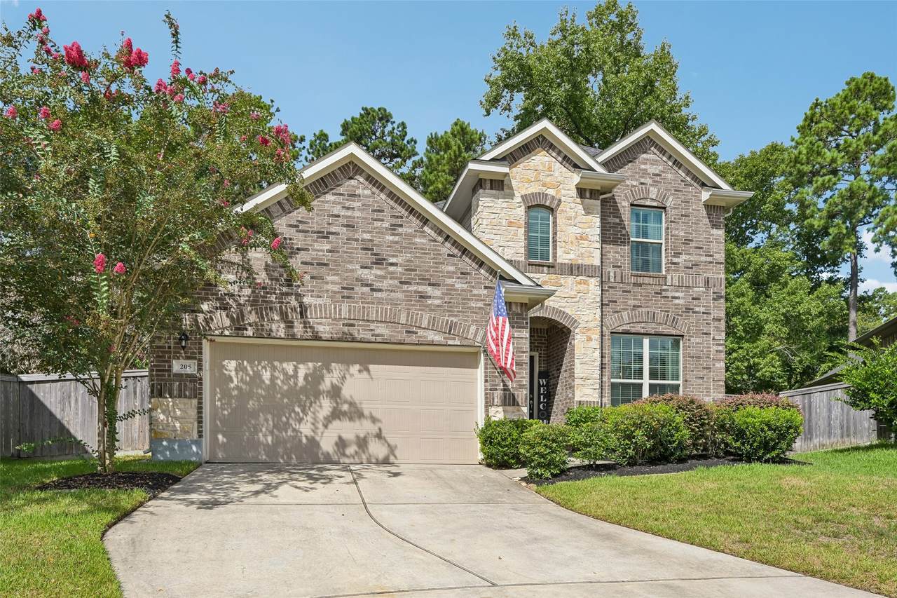 205 Elianne Lace Court - Photo 1