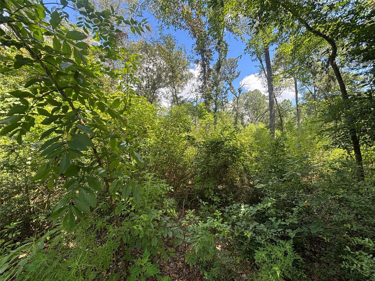 26059 Christine Drive - Photo 1