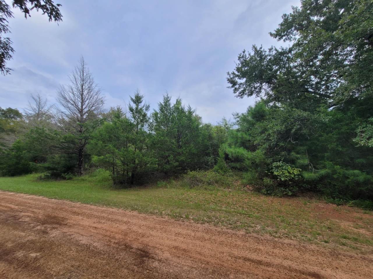 Lot 35 Redwood - Photo 1