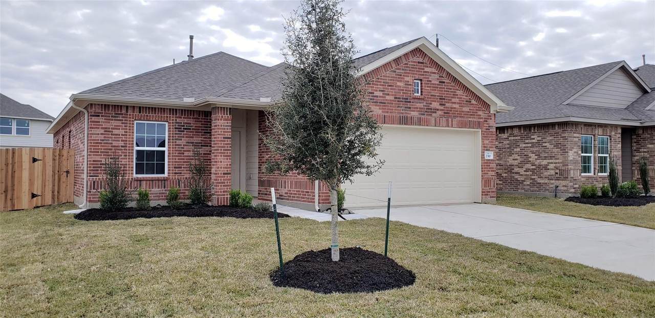 2310 Thunderbolt Peak Drive - Photo 1