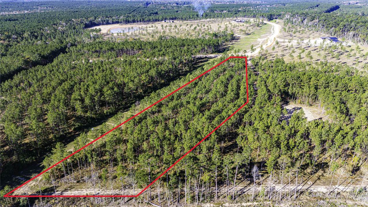 0017 Big Buck Drive - Photo 1