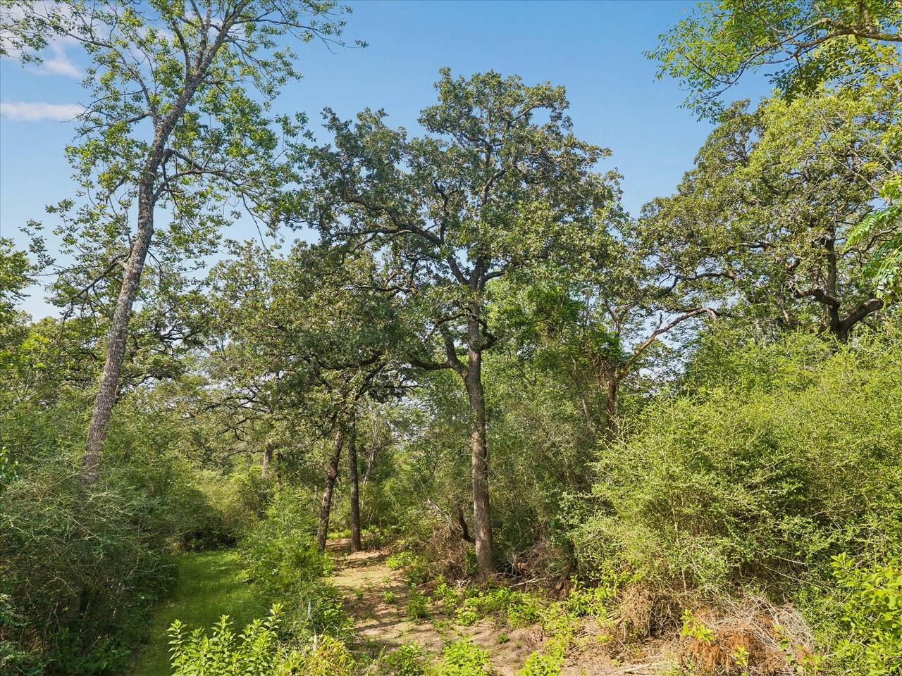 0002 Highway 159 - Photo 1