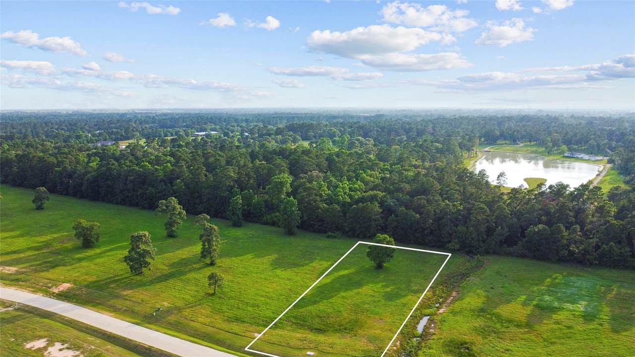 2040 Stallion Lakes Avenue - Photo 1
