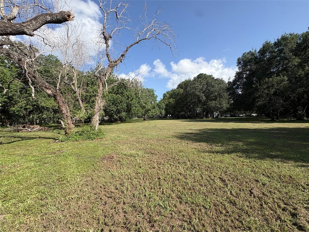 4407 Hiram Brandon Drive - Photo 1