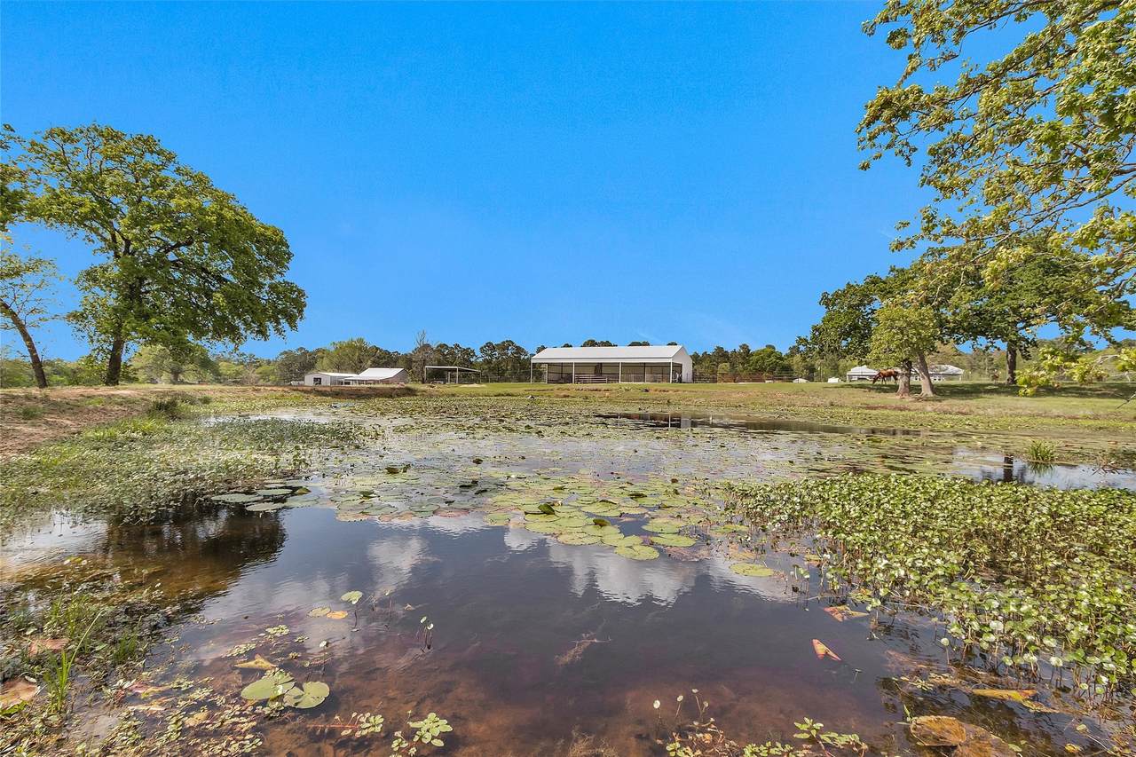 2275 Fm 1486 - Photo 1