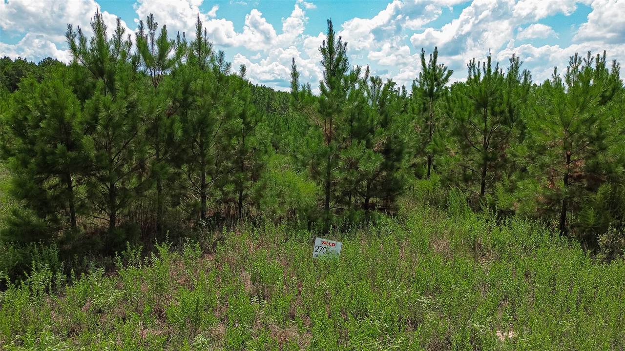 0 Cherokee Trail Trail - Photo 1