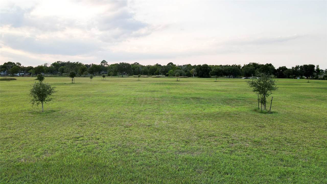 709 Earl Street - Photo 1