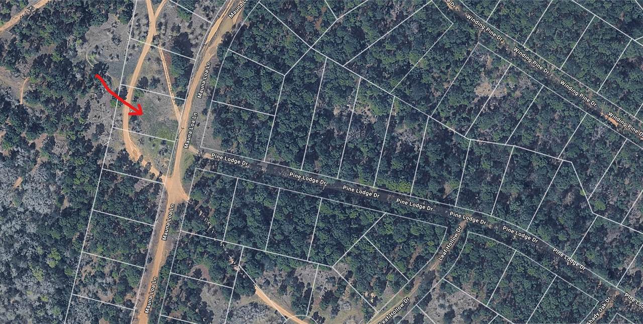 0 Lot 15 Mauna Loa Ln - Photo 1