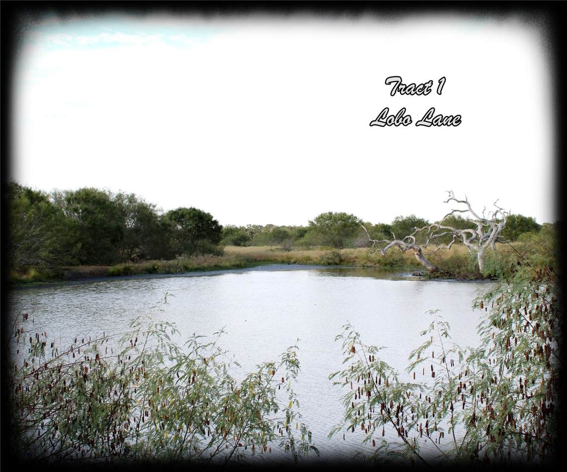 0 Lobo Lane - Photo 1