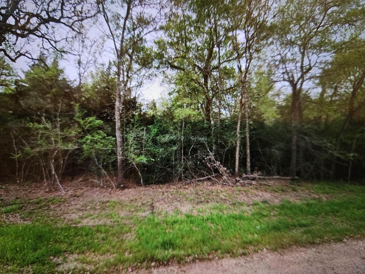 0 Swan Lake Drive - Photo 1