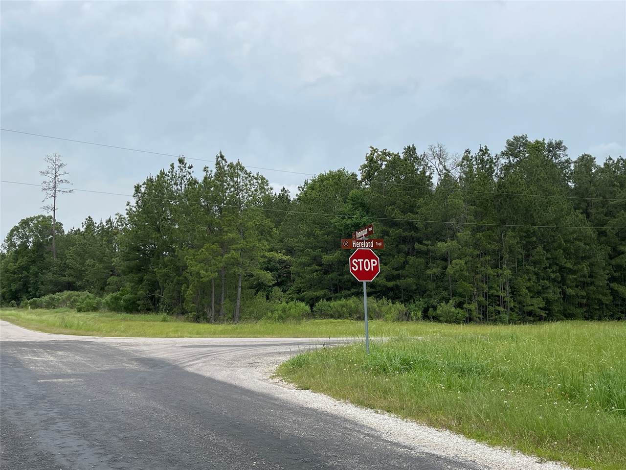 https://bt-photos.global.ssl.fastly.net/harmls/1280_boomver_1_75243250-2.jpg