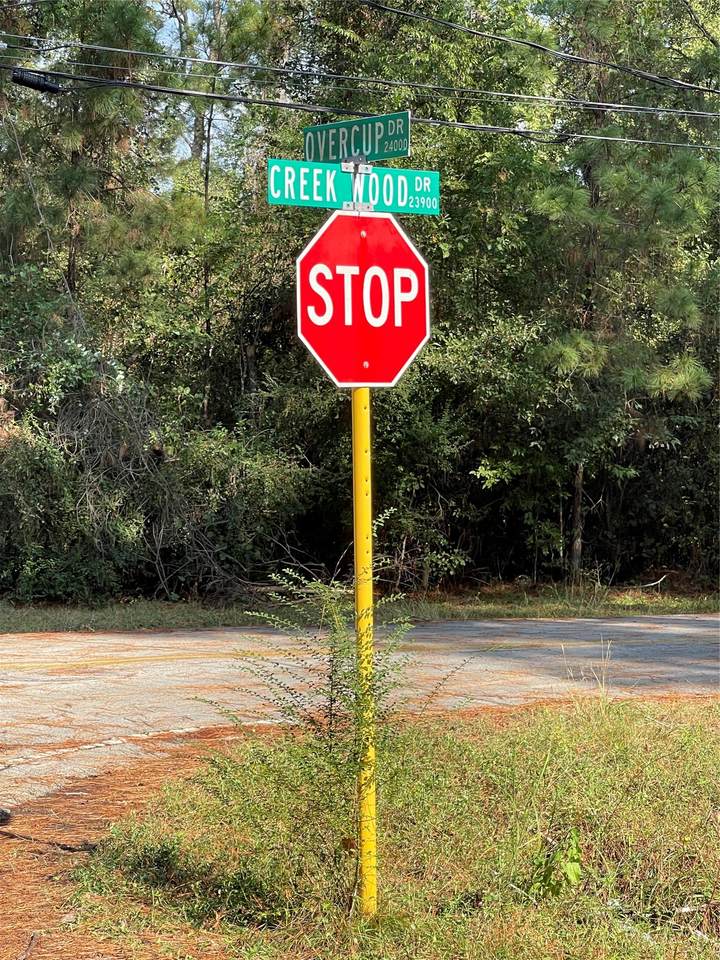 0 Overcup Drive - Photo 1