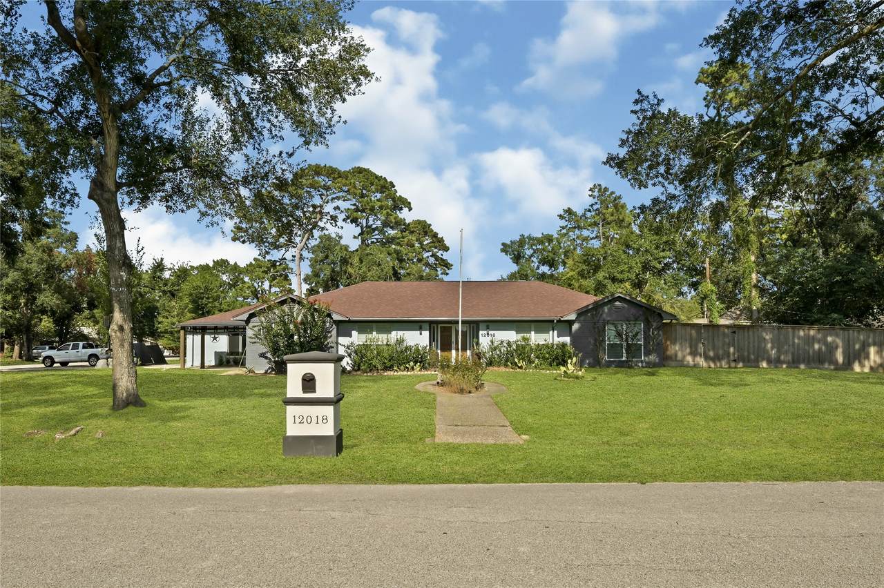 12018 Beinhorn Drive - Photo 1