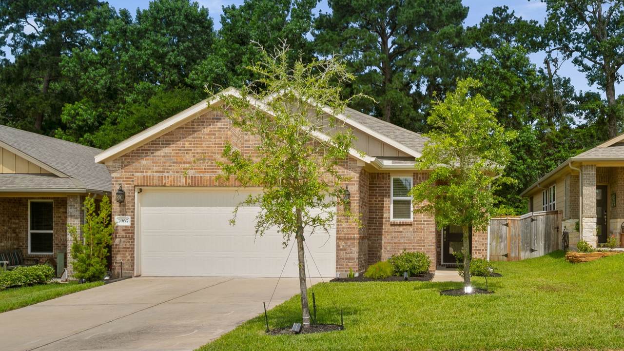 7067 Silverleaf Oak Street - Photo 1