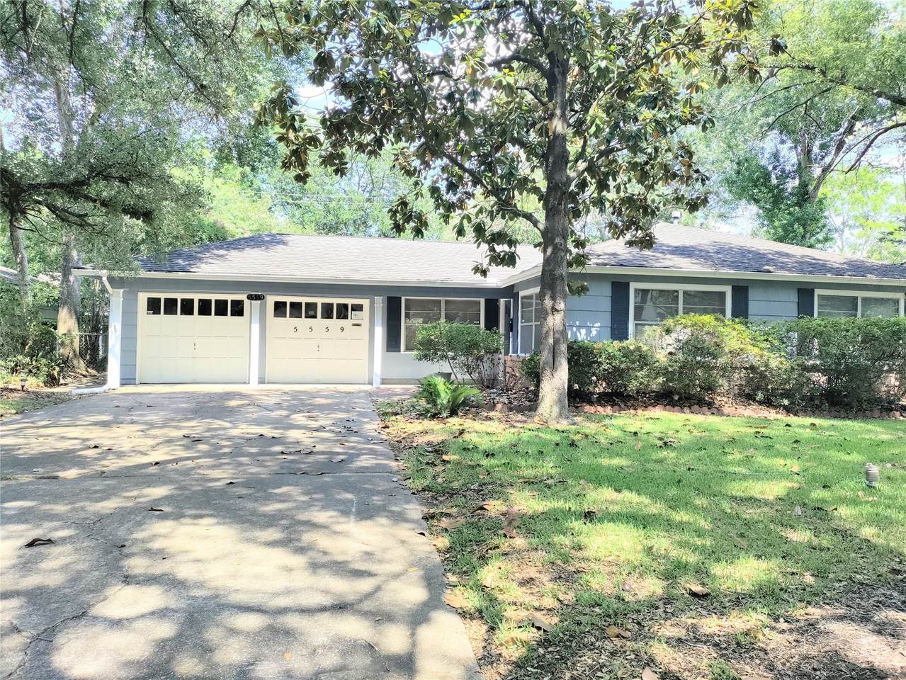 5559 Aspen Street - Photo 1