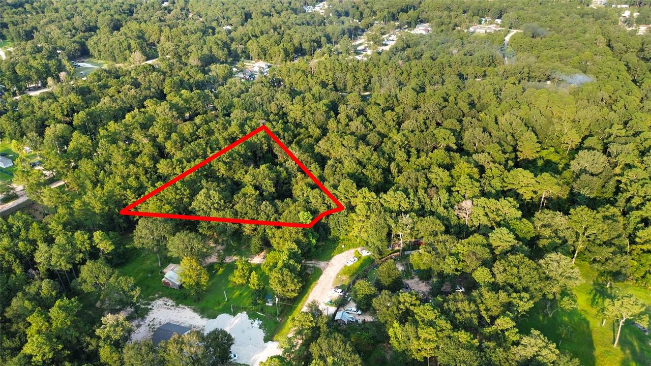 25973 Sussex - Photo 1