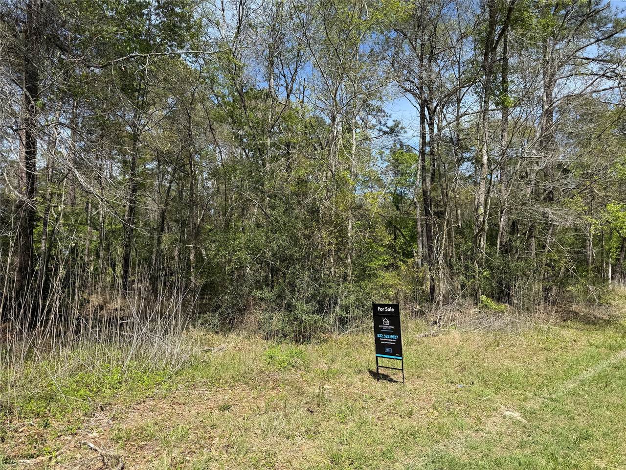 TBD White Oak Drive - Photo 1