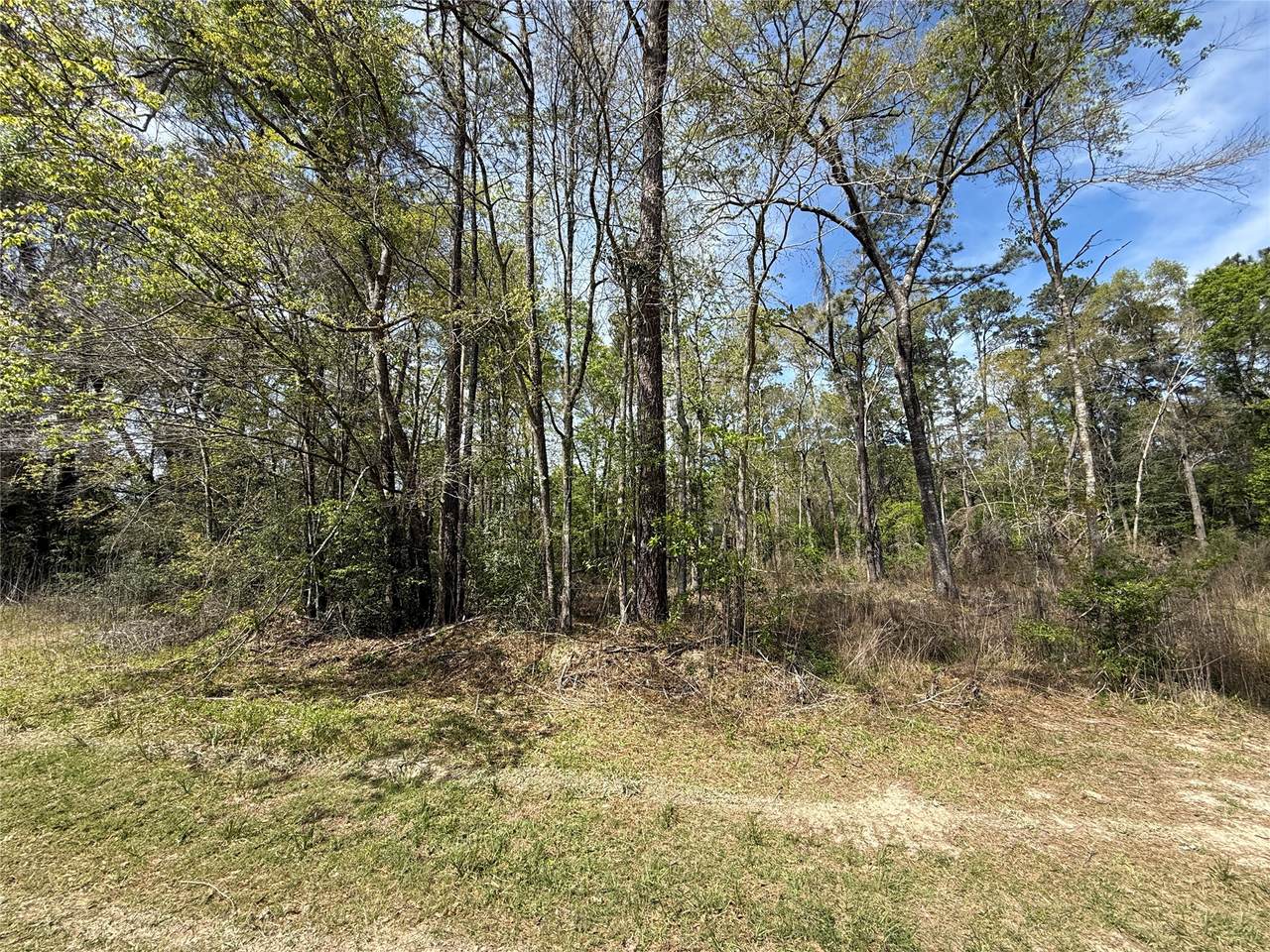 https://bt-photos.global.ssl.fastly.net/harmls/1280_boomver_1_77162003-2.jpg