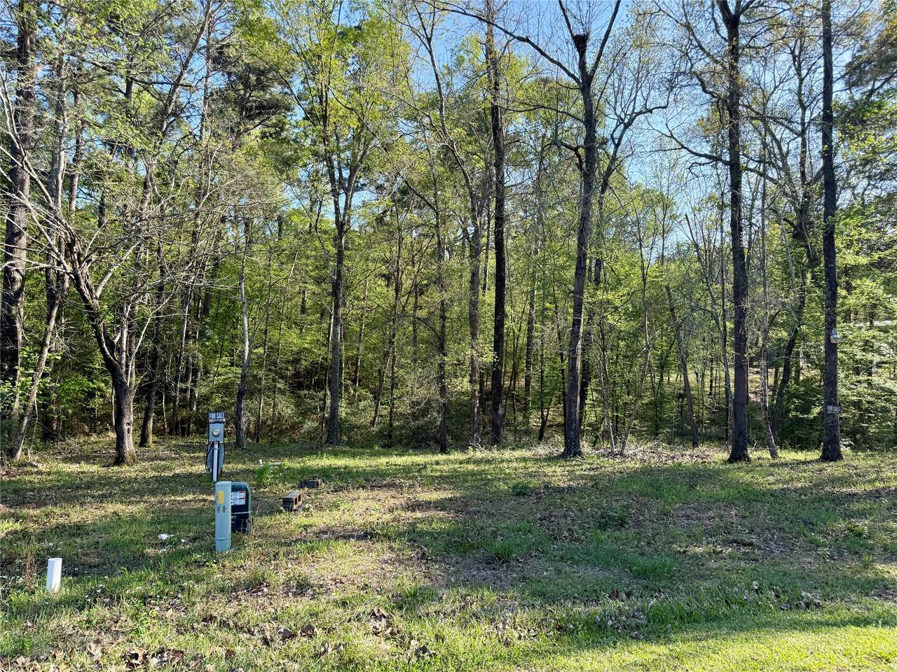 TBD Leaning Oak Drive - Photo 1