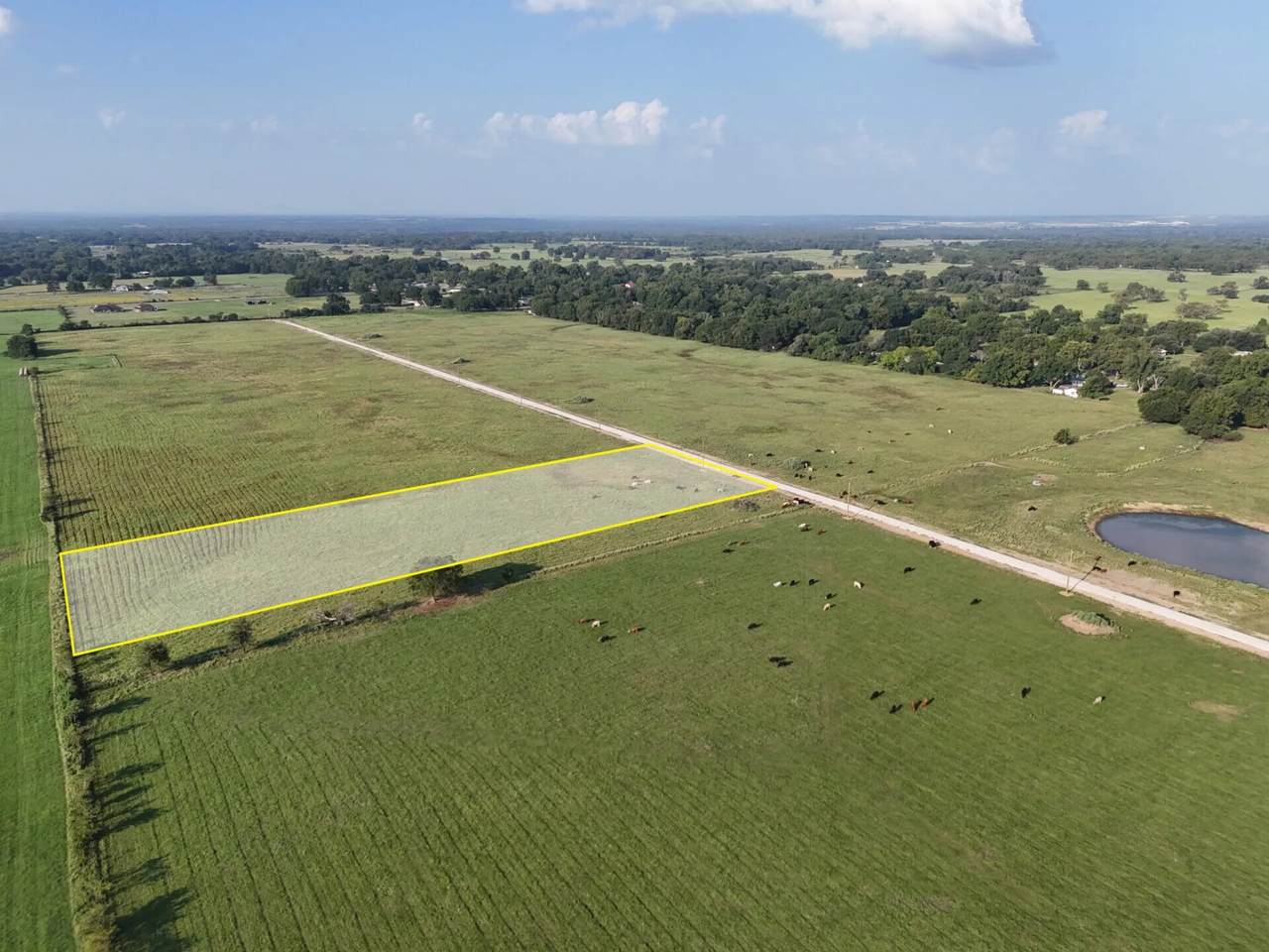 P2L13 County Road 463 - Photo 1
